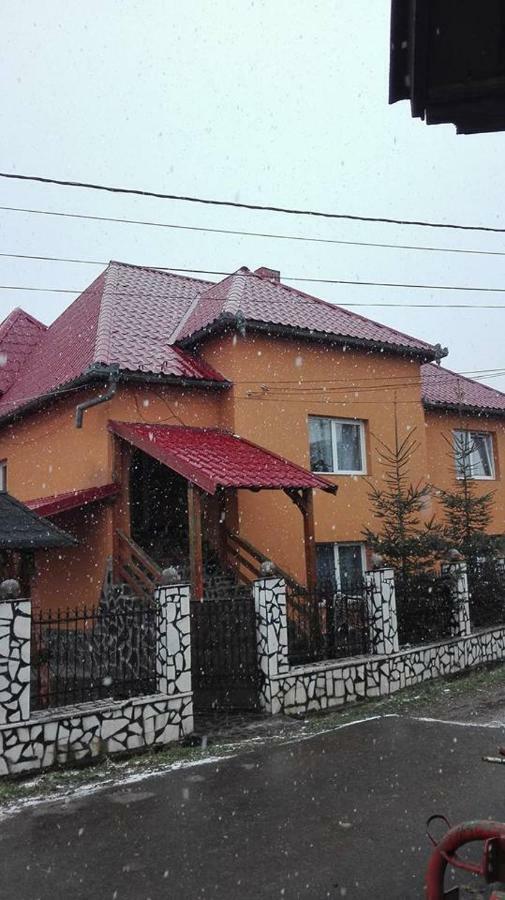 Pensiunea Brezu Sighetu Marmatiei Ngoại thất bức ảnh